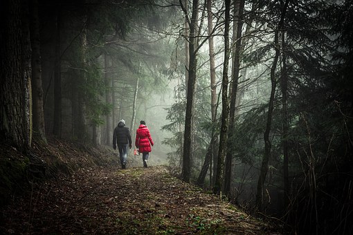 Der Wald – darf er von jedem und zu jeder Zeit betreten werden?