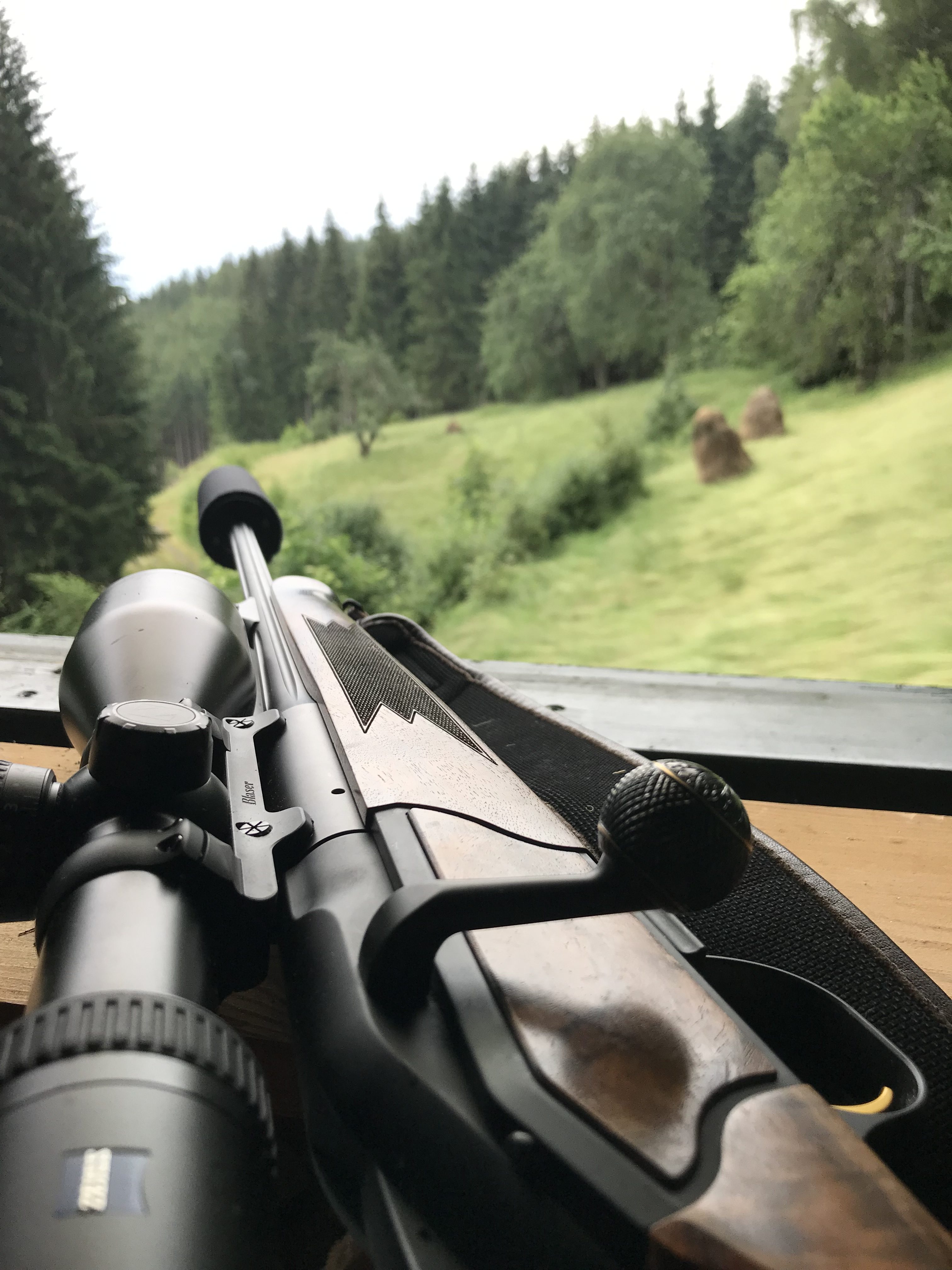Ist die Jagd systemrelevant?
